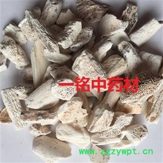 龙骨 龙骨块 选货 产地 甘肃省图2