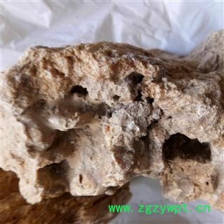 琥珀 统个 产地 浙江省图2