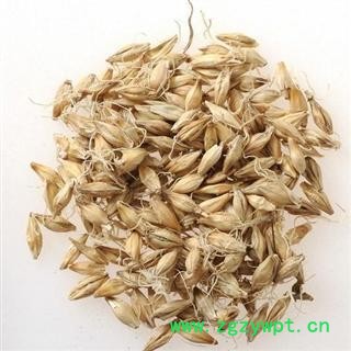 麦芽 统装 产地 河南省焦作市市辖区图2