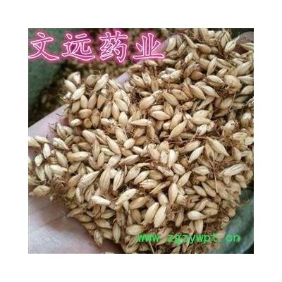 麦芽 统装 产地 河南省焦作市市辖区