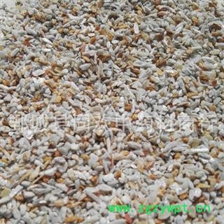 【正品阳起石颗粒】@【同欢药材】中药材批发供应 规格齐全 量大从优  产地 河南省图3