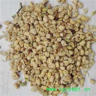 吉康药业大豆黄卷   大豆卷 大豆蘖 黄卷 卷蘖 黄卷皮图2