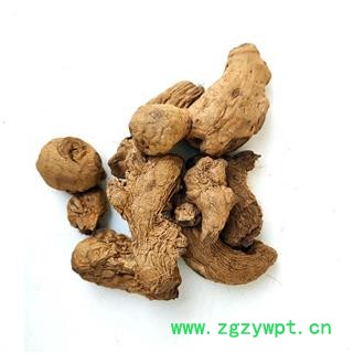 炮姜 炮姜 干姜 炮姜 产地 四川省 重在品质吉康药业图2