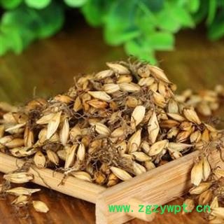 麦芽 炒麦芽 统 国药堂 专注品质 产地 山东省图2