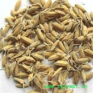 谷芽 正品保证质量7天无理由退货退款 安品堂图2