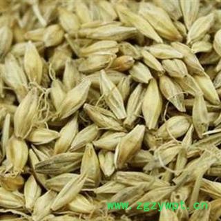 谷芽 正品保证质量7天无理由退货退款 安品堂图4