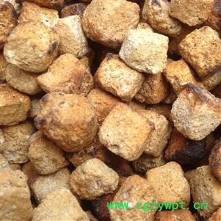 炒神曲 正品 保真 保证质量7天无理由退货退款 华安堂图3