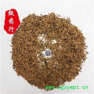 谷芽 统货 一手货源批发1公斤装炒谷芽 甄选药材行 为你真选好药材图2