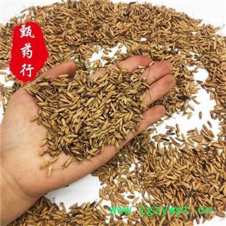 谷芽 统货 一手货源批发1公斤装炒谷芽 甄选药材行 为你真选好药材图3