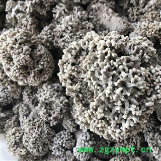 海浮石  海浮石花 白浮石 水泡石  产地 辽宁省图3