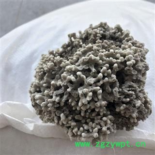 海浮石  海浮石花 白浮石 水泡石  产地 辽宁省图2