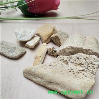 龙骨 煅龙骨 净货 产地 甘肃省图2