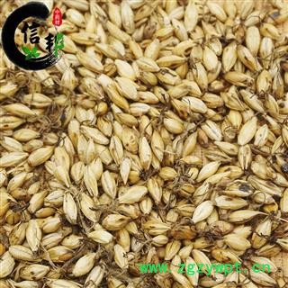 麦芽炒麦芽焦麦芽大麦芽产地山东统货专注品质，诚信信邦！图4