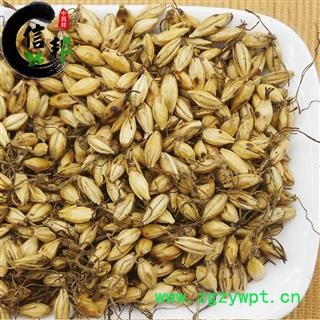 麦芽炒麦芽焦麦芽大麦芽产地山东统货专注品质，诚信信邦！图3