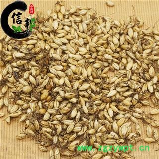 麦芽炒麦芽焦麦芽大麦芽产地山东统货专注品质，诚信信邦！图2