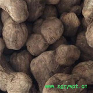 炮姜 炮姜 干姜 精品炮姜 产地 四川省 产地 四川省图2