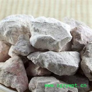 圣草康园中药材白石脂 白石脂块另有赤石脂图3