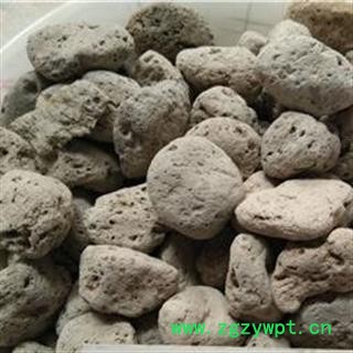 小海浮石 海浮石 选货 产地 山东省图2