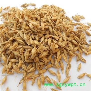 麦芽 生麦芽 97以上出芽率 产地 安徽省图2