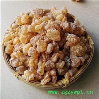 乳香珠 别称-明乳香 乳头香 天泽香 大个乳珠图4