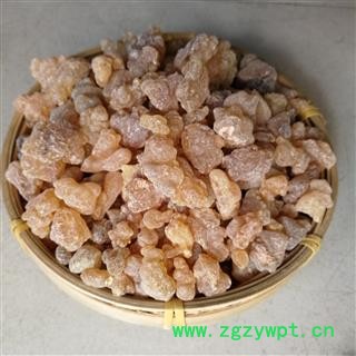 乳香珠 别称-明乳香 乳头香 天泽香 大个乳珠图2