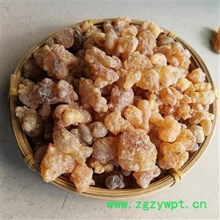 乳香珠 别称-明乳香 乳头香 天泽香 大个乳珠图3