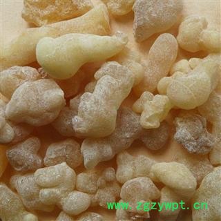 乳香 精品一级乳香珠 产地 广西壮族自治区防城港市防城区 娟子中药行图4