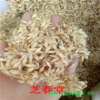 芽 中药材批发无硫麦芽产地直销 量大从优规格齐全 另有稻芽谷芽图3