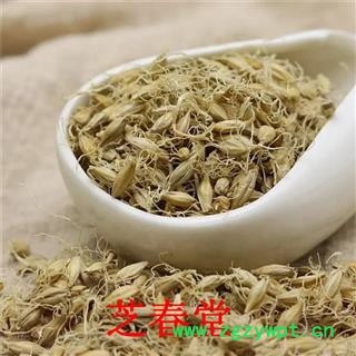芽 中药材批发无硫麦芽产地直销 量大从优规格齐全 另有稻芽谷芽图2