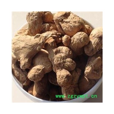 炮姜 精品选装炮姜个 产地 云南省