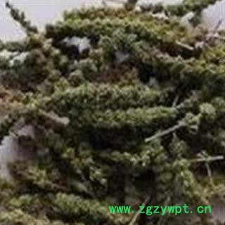 圣草康园 中药材芥穗 荆芥 荆芥穗 芥穗炭 荆芥穗炭图2