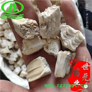 世元药业 龙齿 正品 青龙齿 白龙齿图2