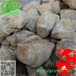 世元药业 石燕 正品 天然 别称-石燕子 燕子石 大石燕图2