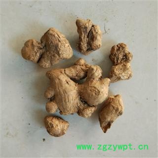 炮姜 统 产地 云南省 国药堂 专注品质图2