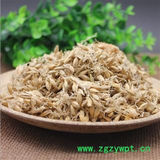 麦芽@【华美中药】中药材批发供应【麦芽】图4