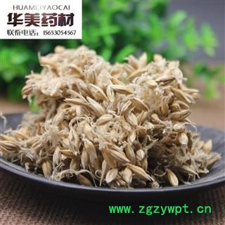 麦芽@【华美中药】中药材批发供应【麦芽】图2