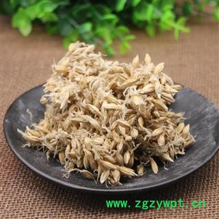 麦芽@【华美中药】中药材批发供应【麦芽】图3