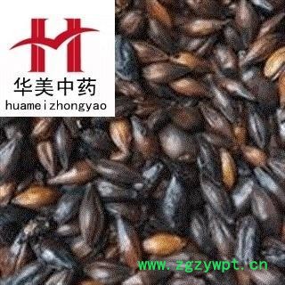 麦芽 焦麦芽 产地 山东省 华美中药 产地直销 品质保证图2