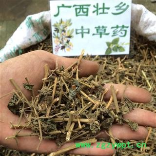 广西壮乡中草药 野生 白英 白毛藤 白草 毛千里光 毛风藤 产地 广西柳州图2