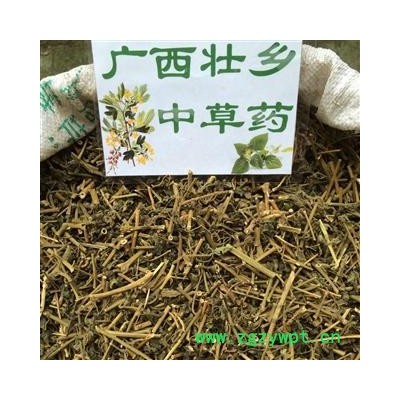 广西壮乡中草药 野生 白英 白毛藤 白草 毛千里光 毛风藤 产地 广西柳州
