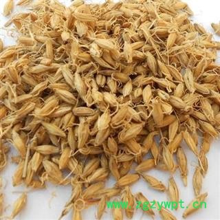 稻芽 正品保证质量7天无理由退货退款 安品堂图3