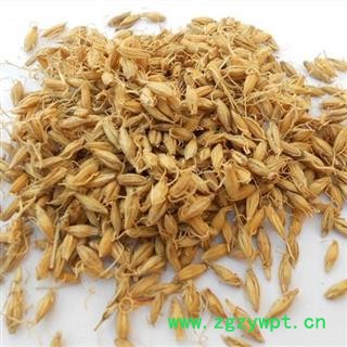 稻芽 正品保证质量7天无理由退货退款 安品堂图4