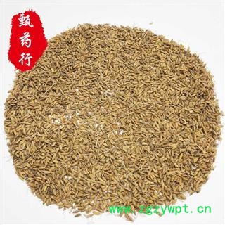 生谷芽 统货 一手货源批发1公斤装 甄选药材行 为你真选好药材图2