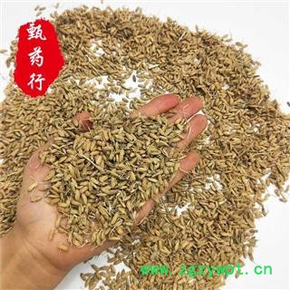 生谷芽 统货 一手货源批发1公斤装 甄选药材行 为你真选好药材图3