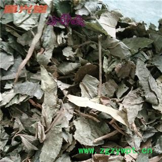 秃子 胡秃子叶 产地 辽宁省 批发各种冷背中草药个子图3