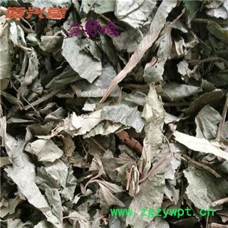 秃子 胡秃子叶 产地 辽宁省 批发各种冷背中草药个子图2