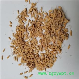 稻芽 统 产地 内蒙古自治区赤峰市图2