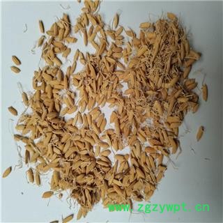 稻芽 统 产地 内蒙古自治区赤峰市图3