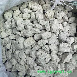 海浮石 产地 山东省图2