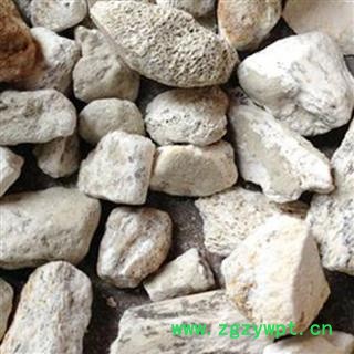 龙骨 龙骨选货 产地 宁夏回族自治区 凯捷中药图3